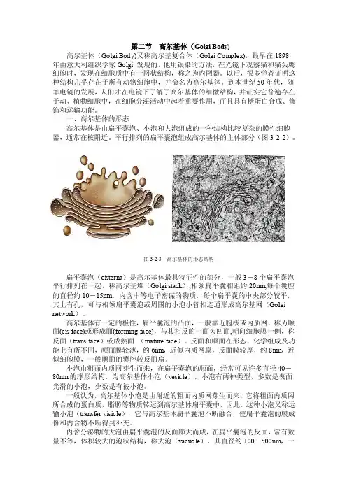 第二节高尔基体（golgibody）