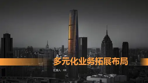 多元化业务拓展布局PPT