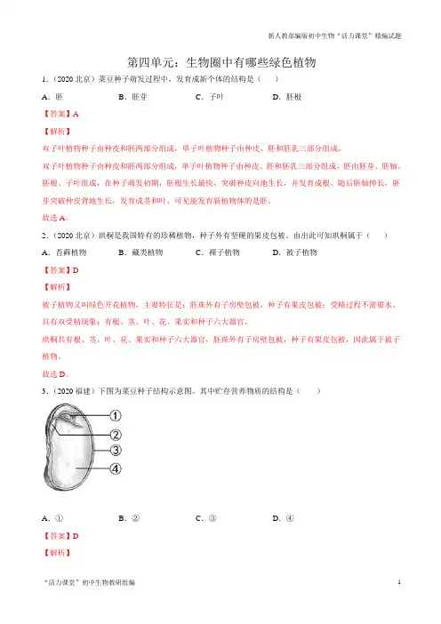 中考一轮生物单元复习第四单元 生物圈中有哪些绿色植物【真题训练】(解析版)
