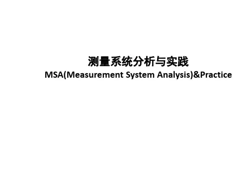MSA培训资料