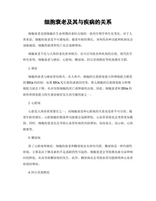细胞衰老及其与疾病的关系