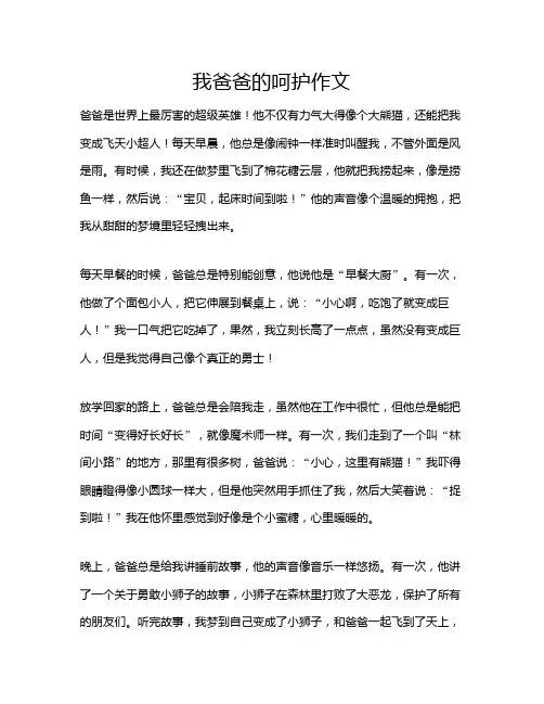 我爸爸的呵护作文