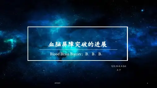 血脑屏障及其突破课堂讲解  ppt课件