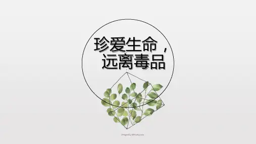 禁毒PPT
