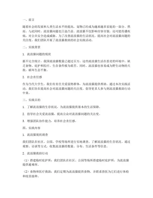 流浪猫救助社会实践报告