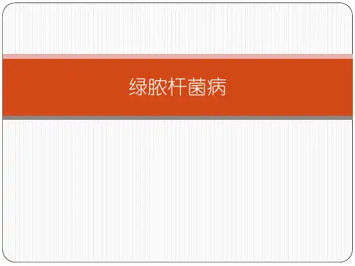 绿脓杆菌病
