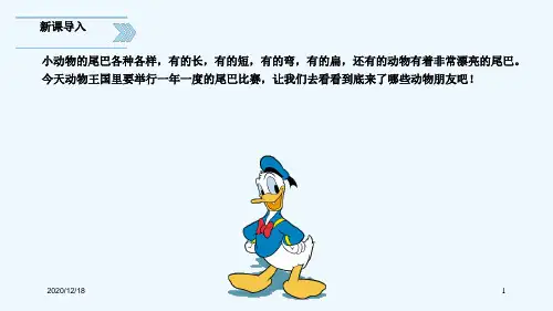 一年级语文上册6比尾巴ppt(人教版新教材2016)