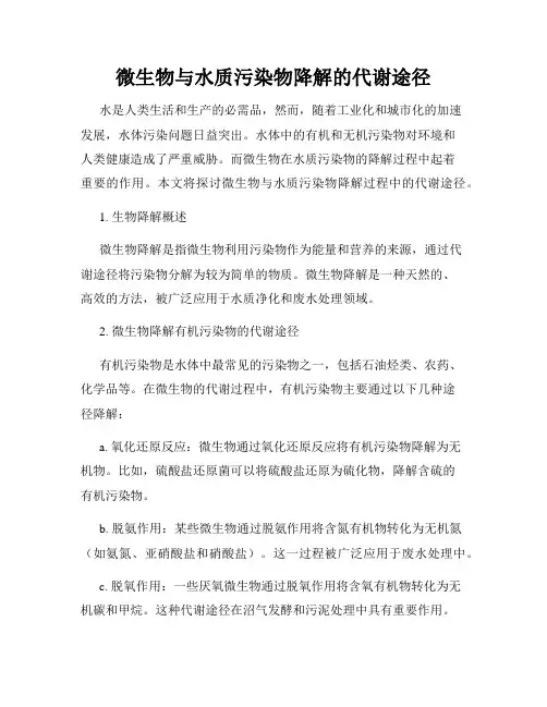 微生物与水质污染物降解的代谢途径