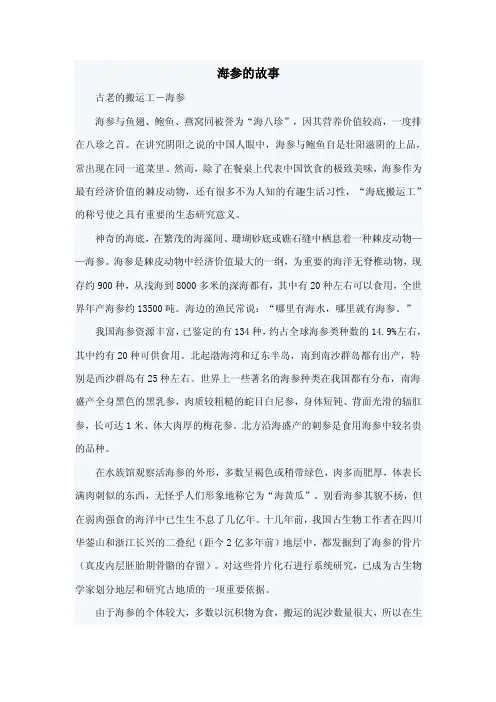 海参的故事——精选推荐