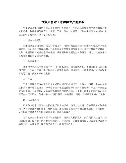 气象灾害对玉米种植生产的影响