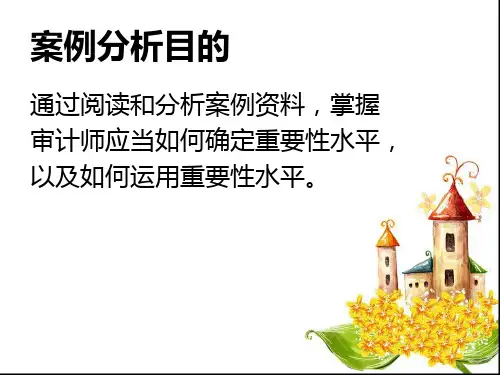 重要性确定及应用案例课件