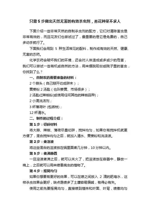 只需5步做出天然无害的有效杀虫剂，养花种菜不求人