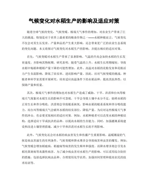 气候变化对水稻生产的影响及适应对策