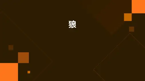 狼的ppt课件