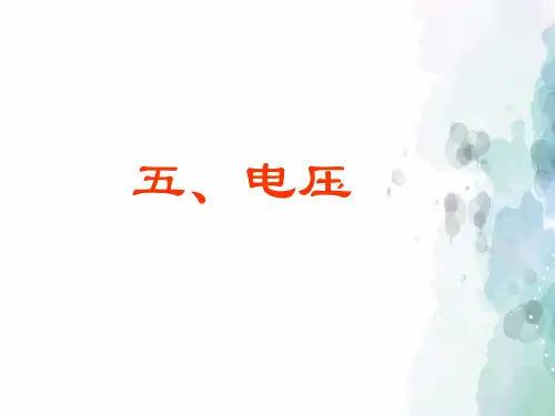 北师大版-物理-九年级物理全册 第十一章 第五节 电压课件4