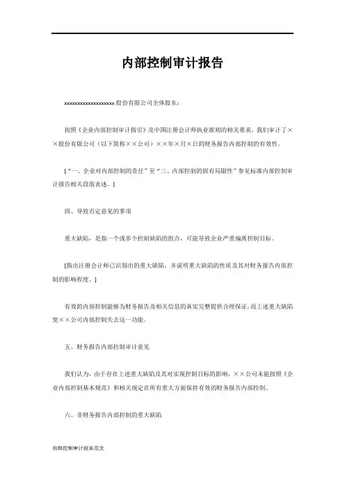 内部控制审计报告范文