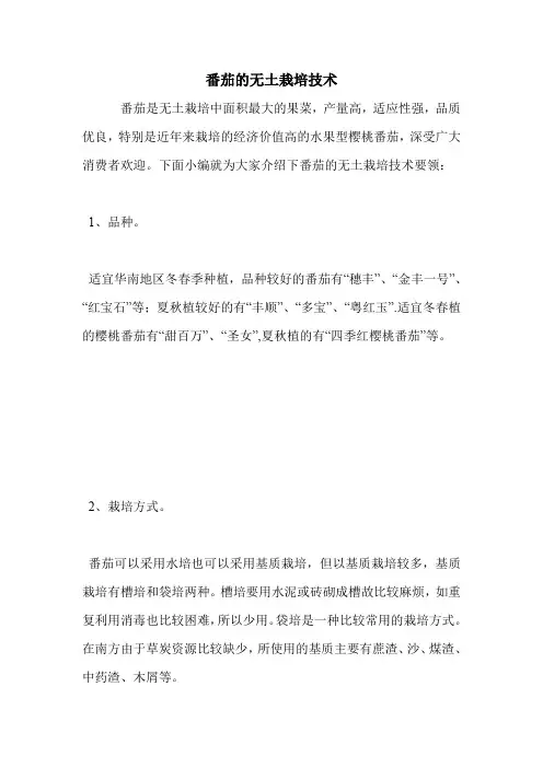 番茄的无土栽培技术.doc