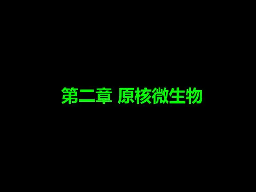 第二章 原核微生物1PPT课件