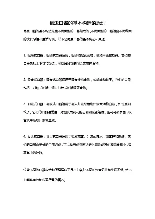 昆虫口器的基本构造的原理
