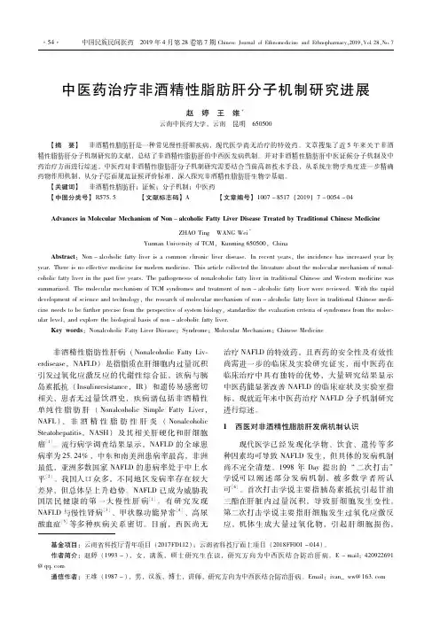 中医药治疗非酒精性脂肪肝分子机制研究进展