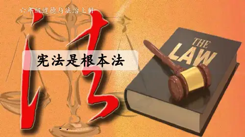 《宪法是根本法》PPT课件