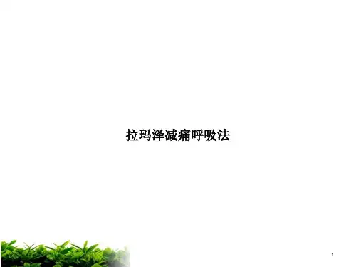 拉玛泽减痛呼吸法课件