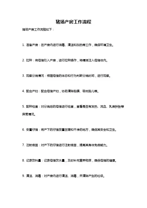 猪场产房工作流程
