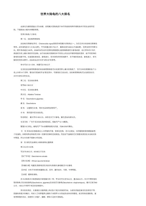 世界大陆龟的八大排名