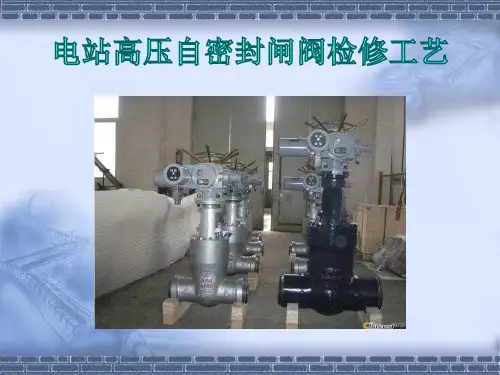 电站高压自密封阀门检修工艺