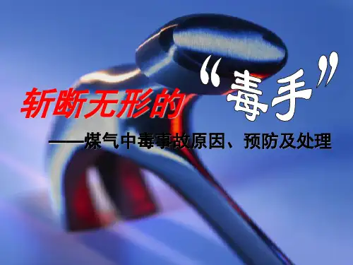 03煤气中毒事故的产生、预防及处理)