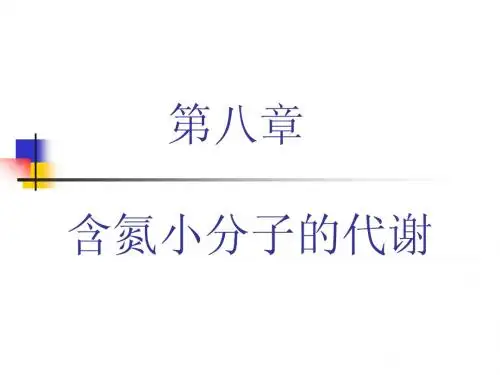 含氮小分子代谢