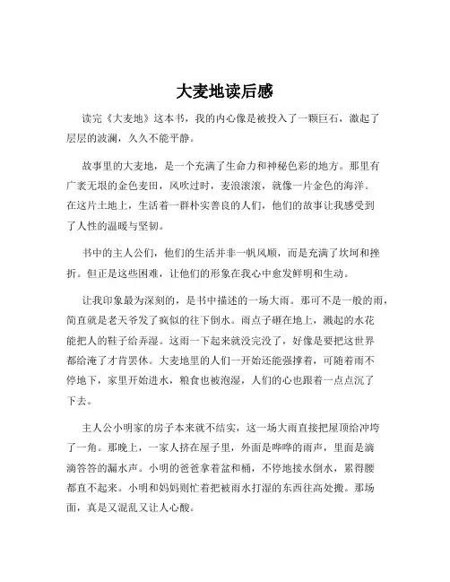 大麦地读后感