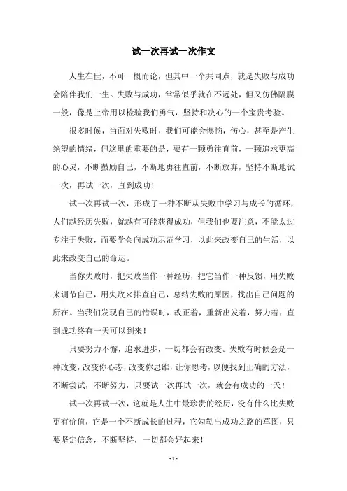 试一次再试一次作文