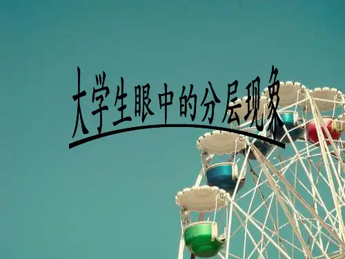 大学生眼中的社会分层现象