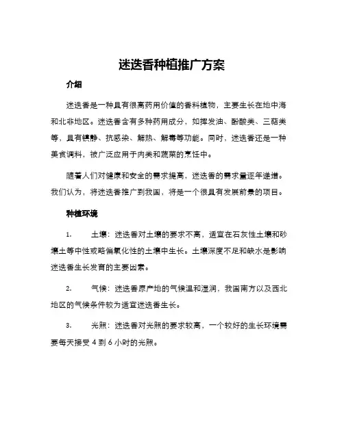 迷迭香种植推广方案