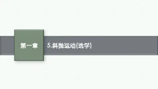 教科版物理必修第二册精品课件 第一章 抛体运动 5.斜抛运动(选学)
