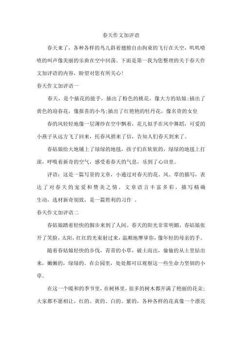 春天作文加评语