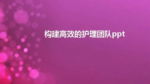 构建高效的护理团队ppt