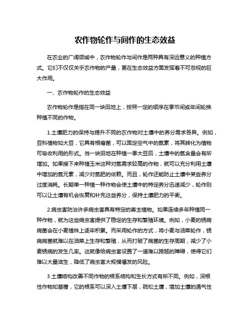农作物轮作与间作的生态效益