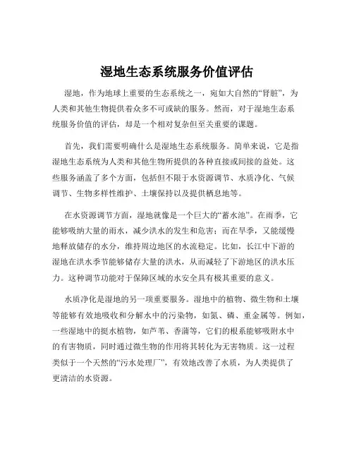湿地生态系统服务价值评估
