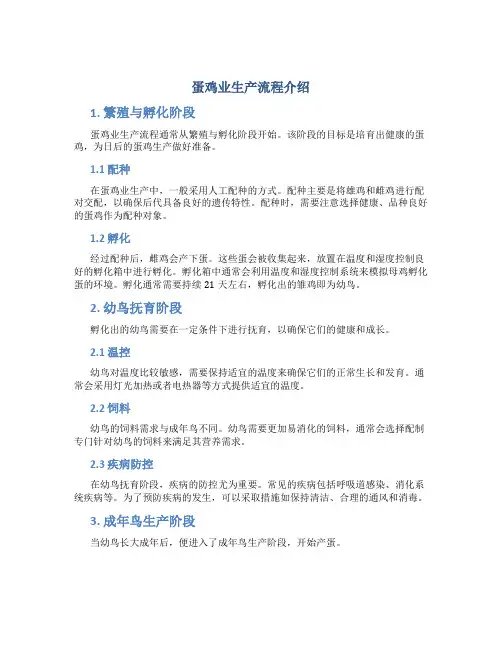 蛋鸡业生产流程介绍