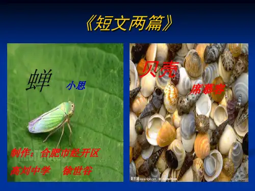 七年级语文上册《短文两篇》PPT课件