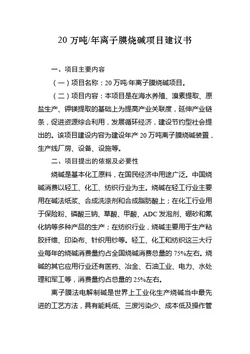 20万吨年离子膜烧碱项目建议书