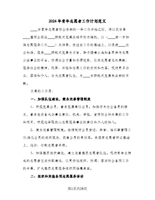 2024年青年志愿者工作计划范文（6篇）