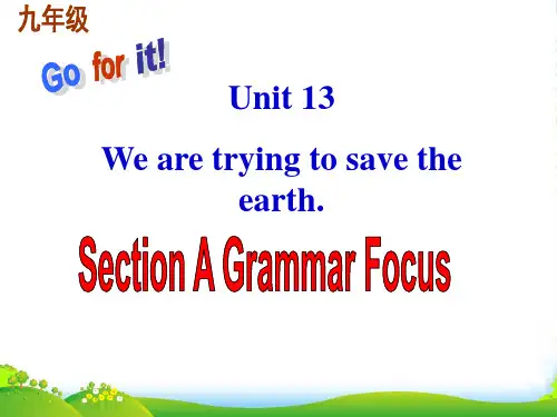 人教版九年级英语下册Unit 13 SectionA Grammous优质课件