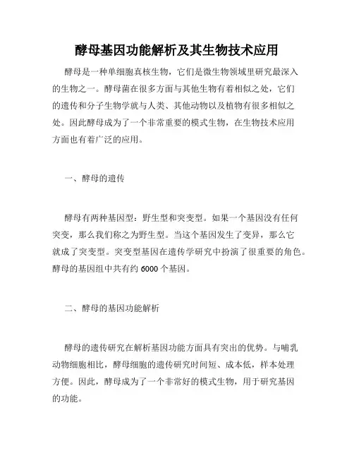 酵母基因功能解析及其生物技术应用