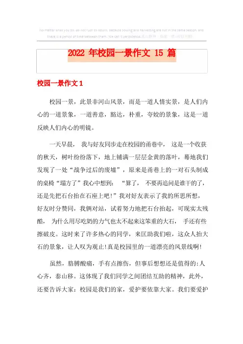 校园一景作文15篇