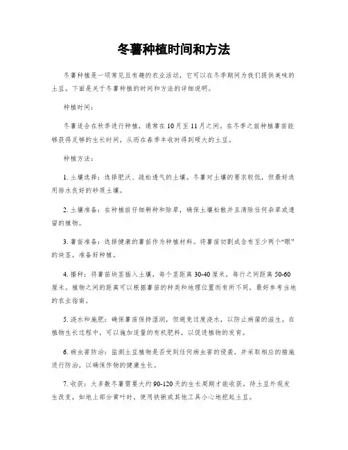 冬薯种植时间和方法