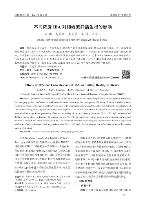 不同浓度IBA对锦绣紫扦插生根的影响