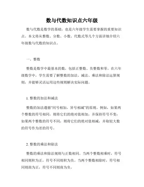数与代数知识点六年级